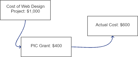 PIC Grant for Website