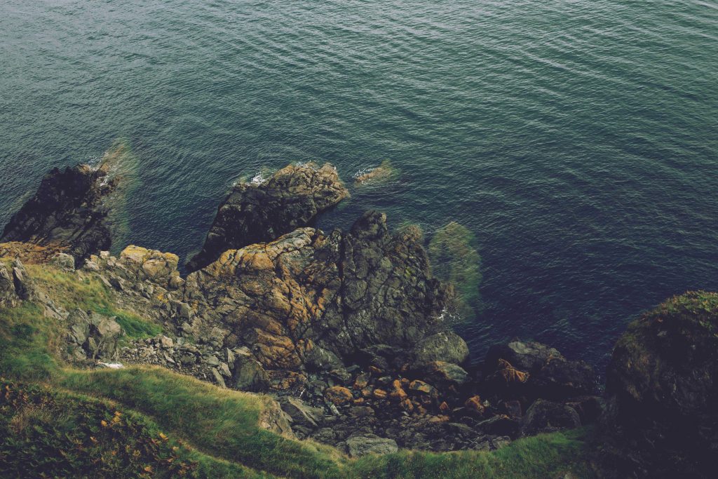 Top 50 Websites for Free Stock Photos & Images 32 Cupcake